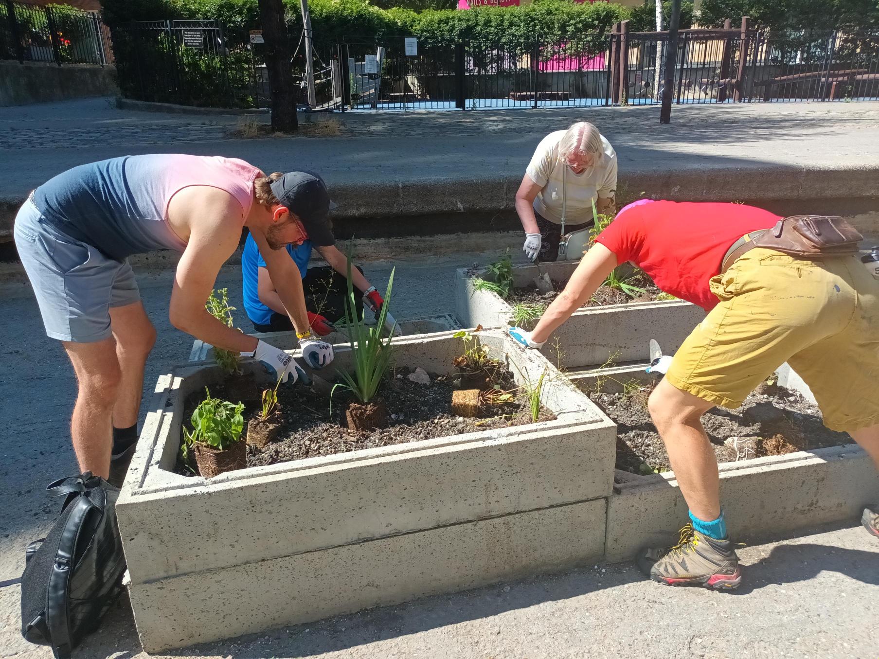 group planting
