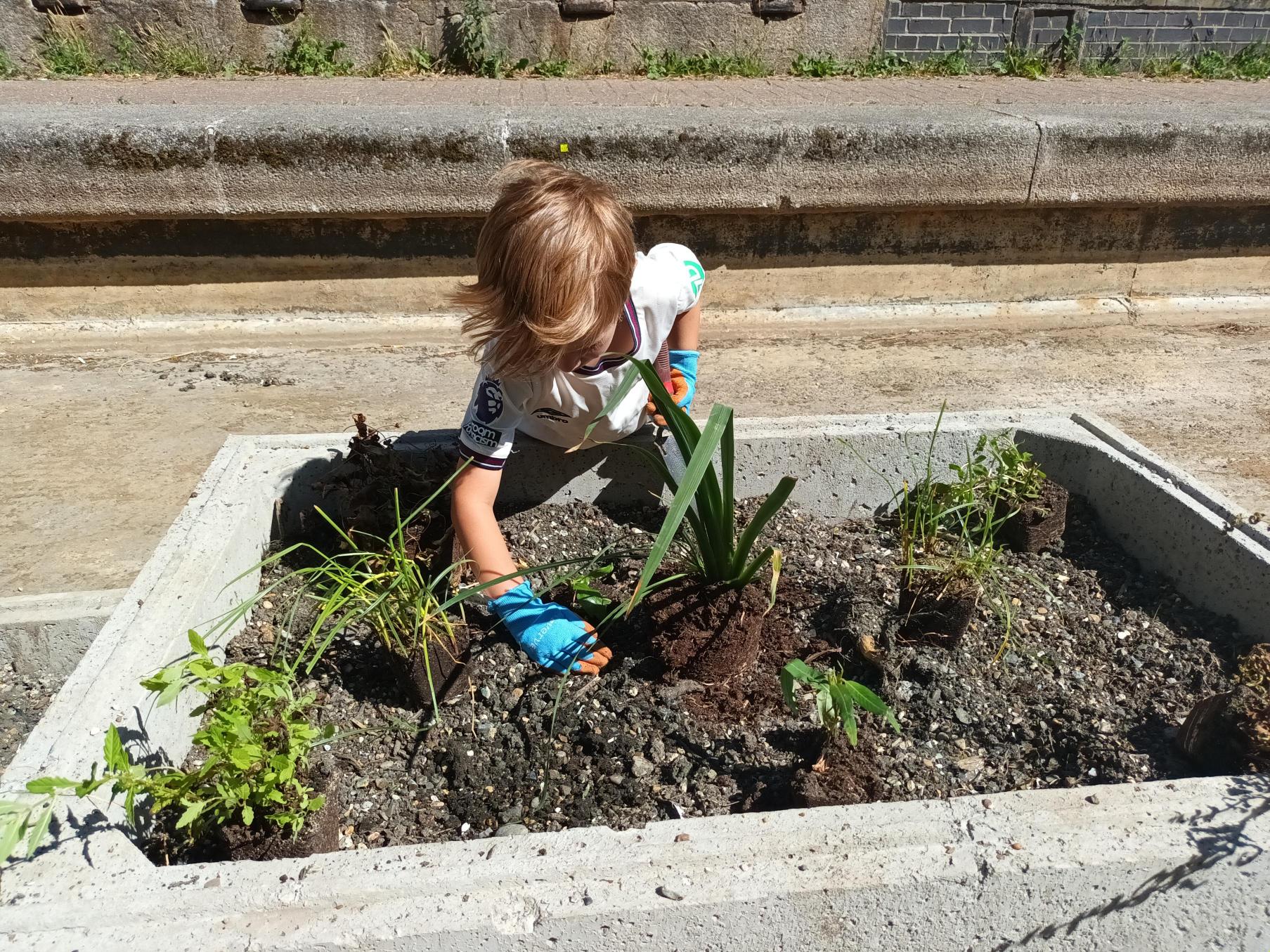 child planting