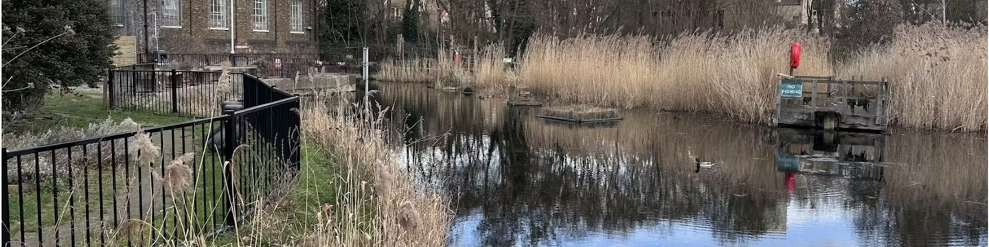 View to the Pumphouse across Lavender Pond